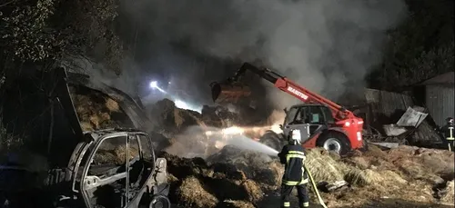 Zoo de la Palmyre : un employé licencié à l’origine de l’incendie