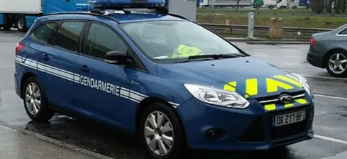 Une tonne de cannabis saisie dans un poids lourd sur la N20 (photo)