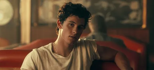 Shawn Mendes s'affiche torse nu et affole la toile ! (photo)