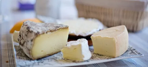 Manger du fromage permettrait d’allonger l’espérance de vie