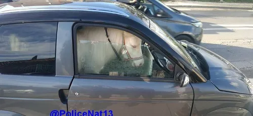 Des policiers trouvent un poney installé dans une voiture sans...