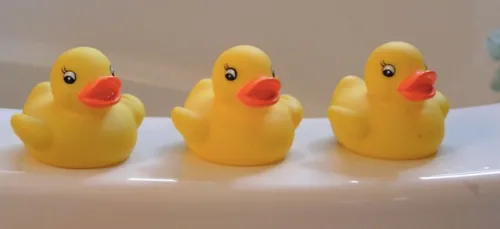 Une femme reste coincée huit jours dans sa baignoire