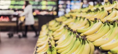 Les épiceries solidaires : "une aide alimentaire qui n’en a pas l’air"