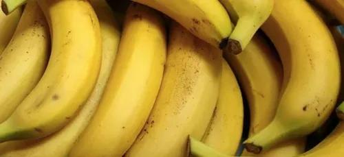 Une banane scotchée à un mur vendue à 120 000 dollars (Photo)