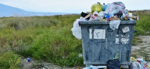 Le Shrilk, le bioplastique c’est fantastique