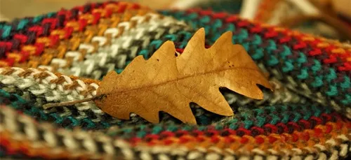 L’arbre à dons : Châteaudun se mobilise pour les sans-abris