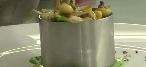 La crépidule, un mollusque invasif dans notre assiette