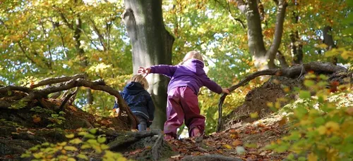 Saumur : trois enfants se sont perdus en forêt   