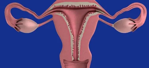 Dépistage du cancer du col de l’utérus : pourquoi, pour qui et...