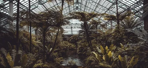 Les serres urbaines bioclimatiques : la climatisation par les plantes