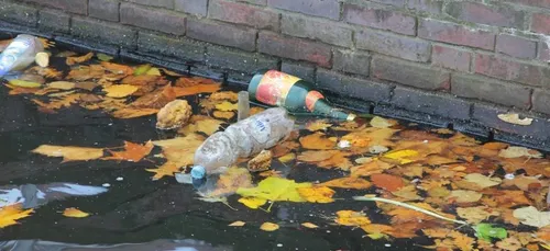 « J’aime la Loire propre » : 80 tonnes de déchets récoltées dans le...