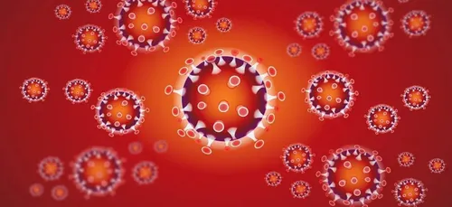 Indre-et-Loire : le coronavirus commence à impacter l’économie