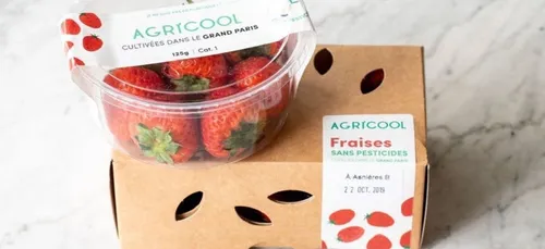 Solidarité : des fraises pour nos soignants et les Restos du cœur