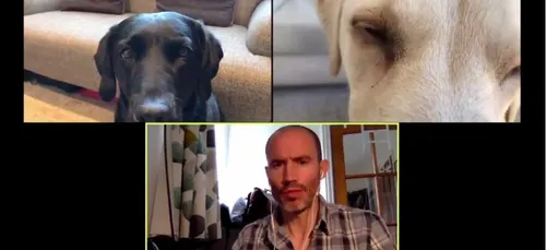 Il réalise une vidéoconférence avec ses chiens et fait un carton...
