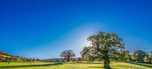 Météo du week-end : le soleil fait son grand retour !