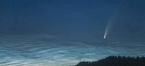 Neowise : une comète visible à l’œil nu jusqu'à la fin du mois (vidéo)