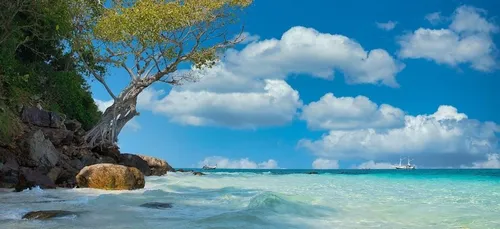 Un commentaire négatif sur TripAdvisor pourrait l’emmener en prison