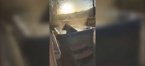 Un ours s'incruste dans un jacuzzi (Vidéo)
