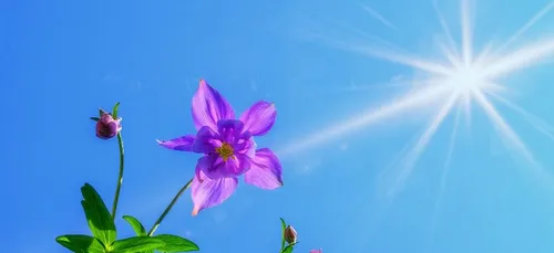 Météo du week-end : beaucoup de soleil et de la fraîcheur