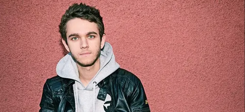 Le DJ Zedd intègre le groupe Linkin Park (Photo)