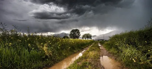 Météo du week-end : de la pluie et très peu de soleil