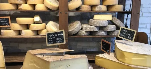 Job de rêve : mangez du fromage à volonté contre 8220 euros