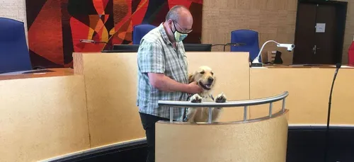 Loiret : des chiens d’assistance judiciaire pour soutenir les...