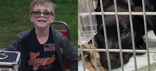 Un garçon de 8 ans se sépare de ses cartes Pokémon pour payer...