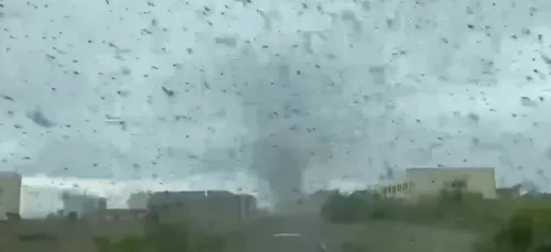 Un village russe victime d'une énorme tornade de moustiques (vidéo)