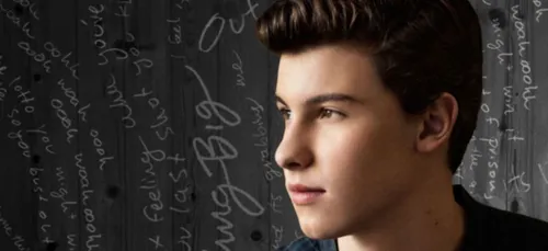 Shawn Mendes gagne tout aux MTV EMAs ! (Vidéo)