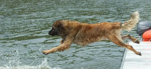 Angers : les autorités inquiètent après l’étrange décès de trois...