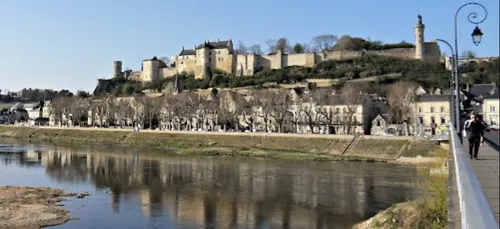 Indre-et-Loire : décès d’un chien après s’être baigné dans la Vienne