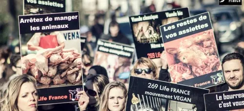 Nuit debout devant les abattoirs !