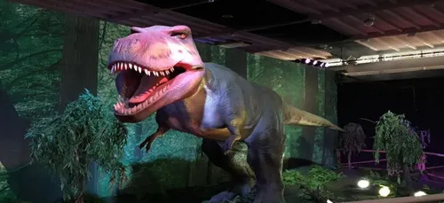 Foire d’Auxerre : retour au temps de la préhistoire