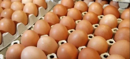 Sarthe : quand les œufs contaminés profitent à Loué !