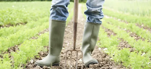 Les agriculteurs bios ne seront plus aidés par le gouvernement