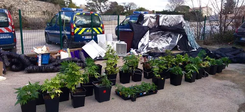 Le Mans : le magasin Indoor Gardens fermé jusqu’à nouvel ordre