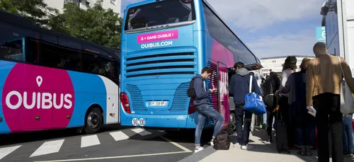 Chez Ouigo on baisse les prix, chez Ouibus on oublie ses passagers