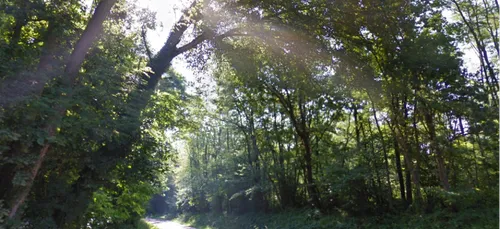 Le corps retrouvé à Branches est bien celui de Yamina Youssfi