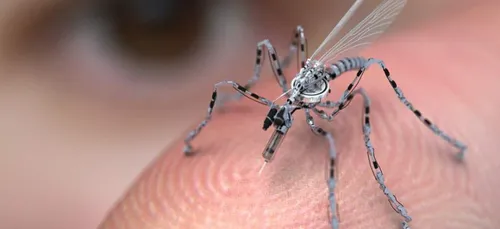 Gironde : deux cas autochtones de dengue, une première dans le...