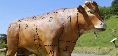 Arrêtons de manger de la viande !