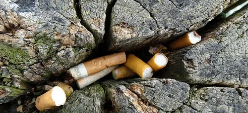 Et si on arrêtait de jeter nos mégots par terre !