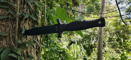 Auxerre : un homme poignardé en plein centre-ville