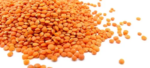 Des lentilles de l'Yonne dans les cantines parisiennes !