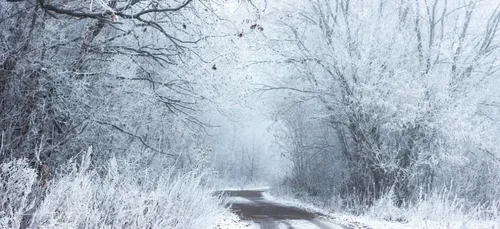 Neige : on fait le point sur vos conditions de circulation !