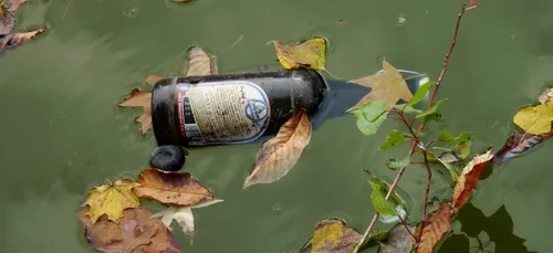 Nièvre : des pistolets découverts dans la Loire !