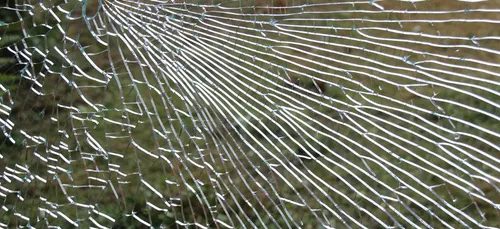 Bourgogne : une colonie cambriolée, des suspects interpellés