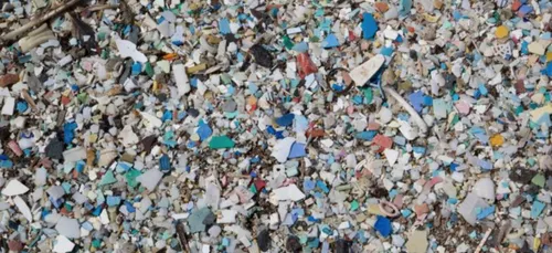 Loiret : Qu’est-ce que c’est que ce champ de déchets ?