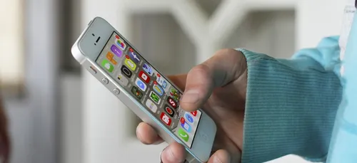 Vol de portables au concert de Shaka Ponk : un suspect interpellé