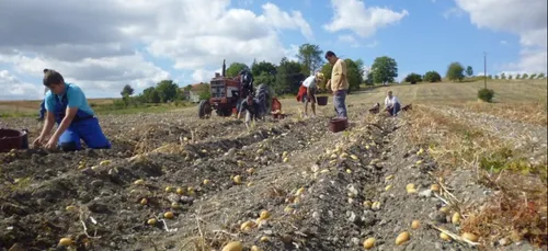 Emploi : l’agriculture recherche des saisonniers en Eure-et-Loir